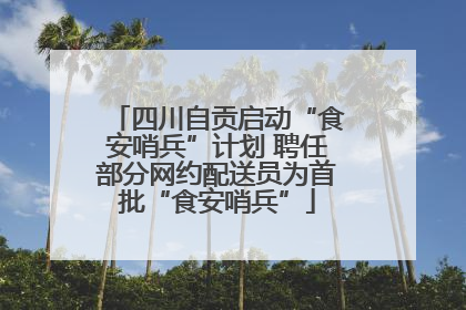 四川自贡启动“食安哨兵”计划 聘任部分网约配送员为首批“食安哨兵”
