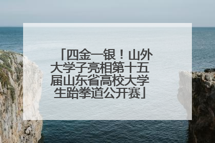 四金一银！山外大学子亮相第十五届山东省高校大学生跆拳道公开赛