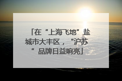在“上海飞地”盐城市大丰区，“沪苏”品牌日益响亮