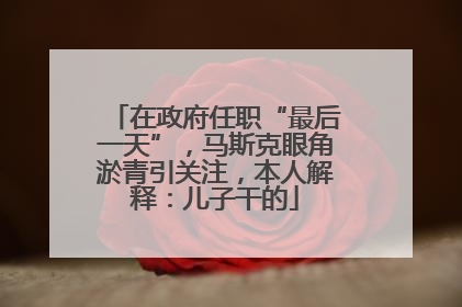 在政府任职“最后一天”，马斯克眼角淤青引关注，本人解释：儿子干的
