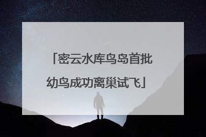 密云水库鸟岛首批幼鸟成功离巢试飞