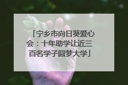 宁乡市向日葵爱心会：十年助学让近三百名学子圆梦大学