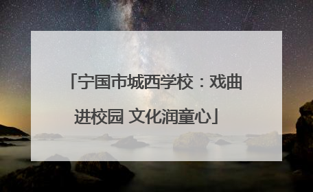 宁国市城西学校：戏曲进校园 文化润童心
