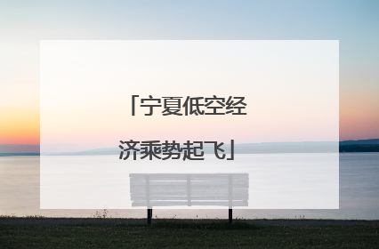 宁夏低空经济乘势起飞