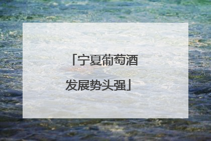宁夏葡萄酒发展势头强