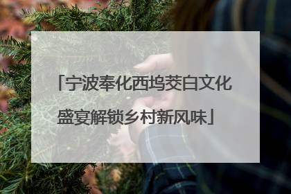 宁波奉化西坞茭白文化盛宴解锁乡村新风味