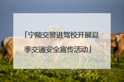 宁陵交警进驾校开展夏季交通安全宣传活动