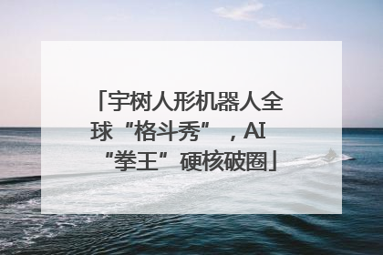 宇树人形机器人全球“格斗秀”，AI“拳王”硬核破圈
