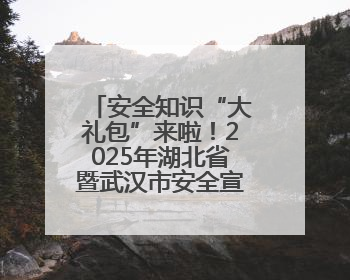 安全知识“大礼包”来啦！2025年湖北省暨武汉市安全宣传咨询日活动在汉举行