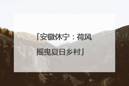 安徽休宁：荷风摇曳夏日乡村