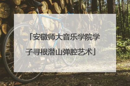 安徽师大音乐学院学子寻根潜山弹腔艺术