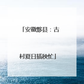 安徽黟县：古村夏日插秧忙