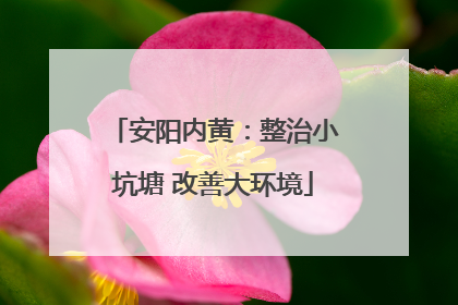 安阳内黄：整治小坑塘 改善大环境