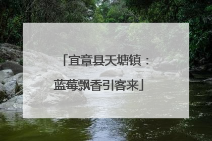 宜章县天塘镇：蓝莓飘香引客来
