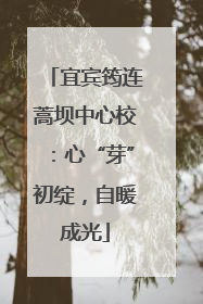 宜宾筠连蒿坝中心校：心“芽”初绽，自暖成光