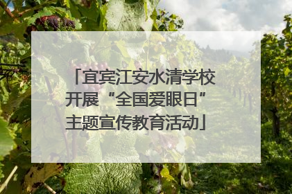 宜宾江安水清学校开展“全国爱眼日”主题宣传教育活动