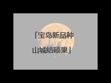 宝岛新品种 山城结硕果