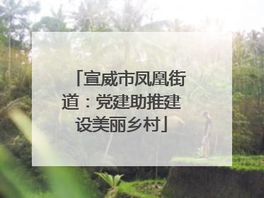 宣威市凤凰街道：党建助推建设美丽乡村