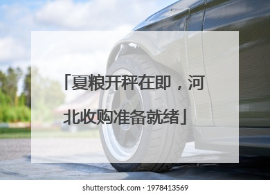 夏粮开秤在即，河北收购准备就绪