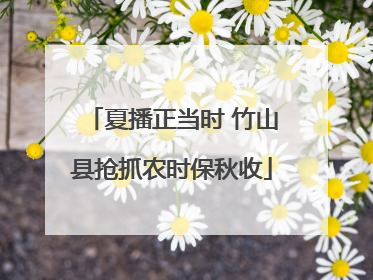 夏播正当时 竹山县抢抓农时保秋收