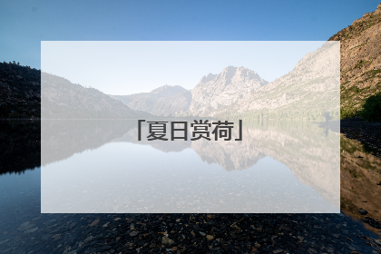 夏日赏荷