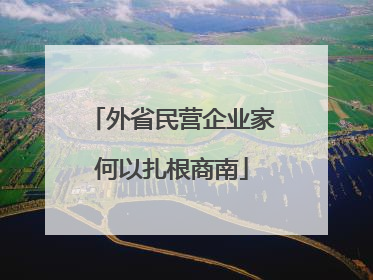 外省民营企业家何以扎根商南