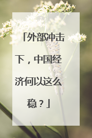 外部冲击下，中国经济何以这么稳？