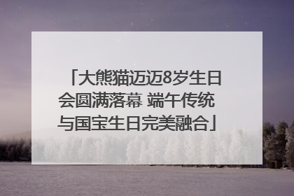 大熊猫迈迈8岁生日会圆满落幕 端午传统与国宝生日完美融合