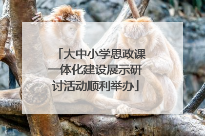 大中小学思政课一体化建设展示研讨活动顺利举办