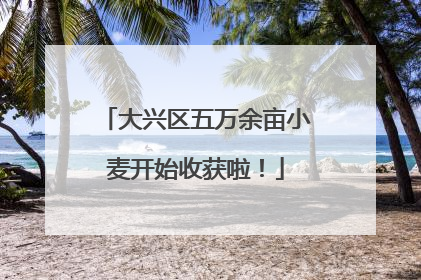 大兴区五万余亩小麦开始收获啦！