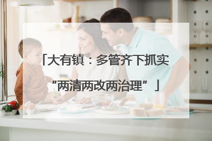 大有镇：多管齐下抓实“两清两改两治理”