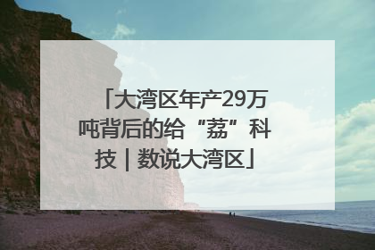 大湾区年产29万吨背后的给“荔”科技｜数说大湾区