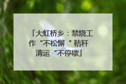 大虹桥乡：禁烧工作“不松懈“ 秸秆清运“不停歇