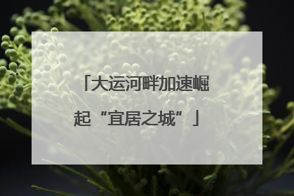 大运河畔加速崛起“宜居之城”