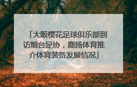 大阪樱花足球俱乐部到访烟台足协，鹿扬体育推介体育装备发展情况