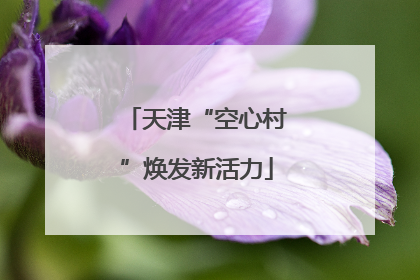 天津“空心村”焕发新活力