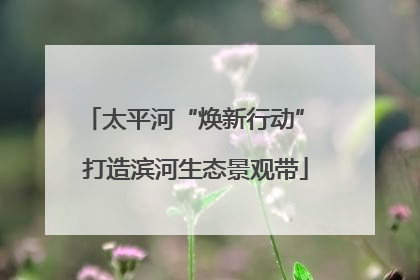 太平河“焕新行动” 打造滨河生态景观带