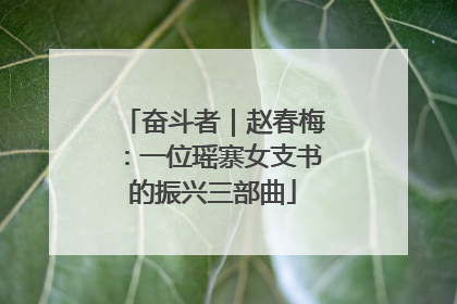 奋斗者｜赵春梅：一位瑶寨女支书的振兴三部曲