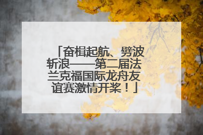奋楫起航、劈波斩浪——第二届法兰克福国际龙舟友谊赛激情开桨！