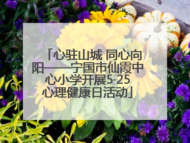 心驻山城 同心向阳——宁国市仙霞中心小学开展5·25心理健康日活动
