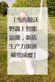 当传统沃野遇上智能浪潮，新质生产力加速破茧成蝶