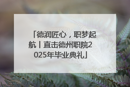 德润匠心，职梦起航丨直击德州职院2025年毕业典礼