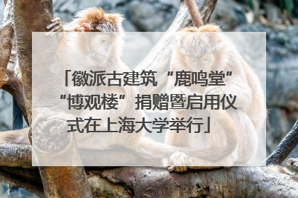 徽派古建筑“鹿鸣堂”“博观楼”捐赠暨启用仪式在上海大学举行
