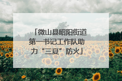 微山县昭阳街道第一书记工作队助力“三夏”防火