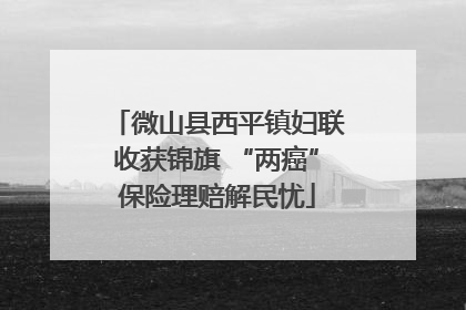 微山县西平镇妇联收获锦旗 “两癌”保险理赔解民忧