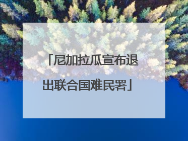 尼加拉瓜宣布退出联合国难民署