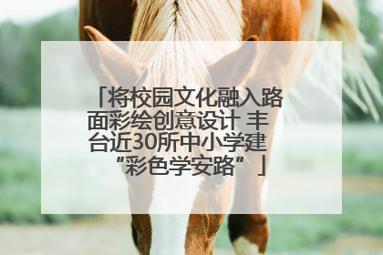 将校园文化融入路面彩绘创意设计 丰台近30所中小学建“彩色学安路”