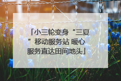 小三轮变身“三夏”移动服务站 暖心服务直达田间地头
