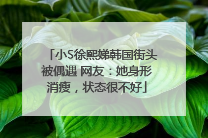 小S徐熙娣韩国街头被偶遇 网友：她身形消瘦，状态很不好