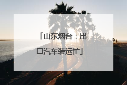 山东烟台：出口汽车装运忙